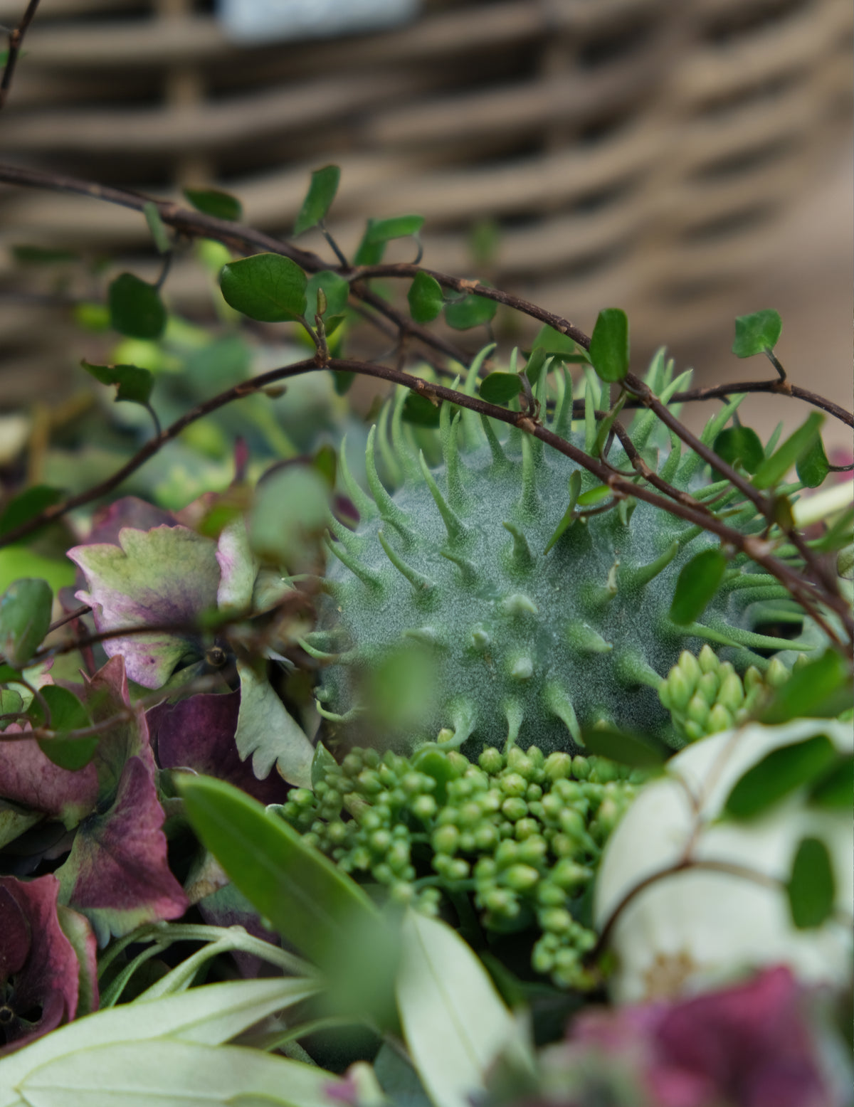 Workshop: Herbst-Tischkranz SAMSTAG