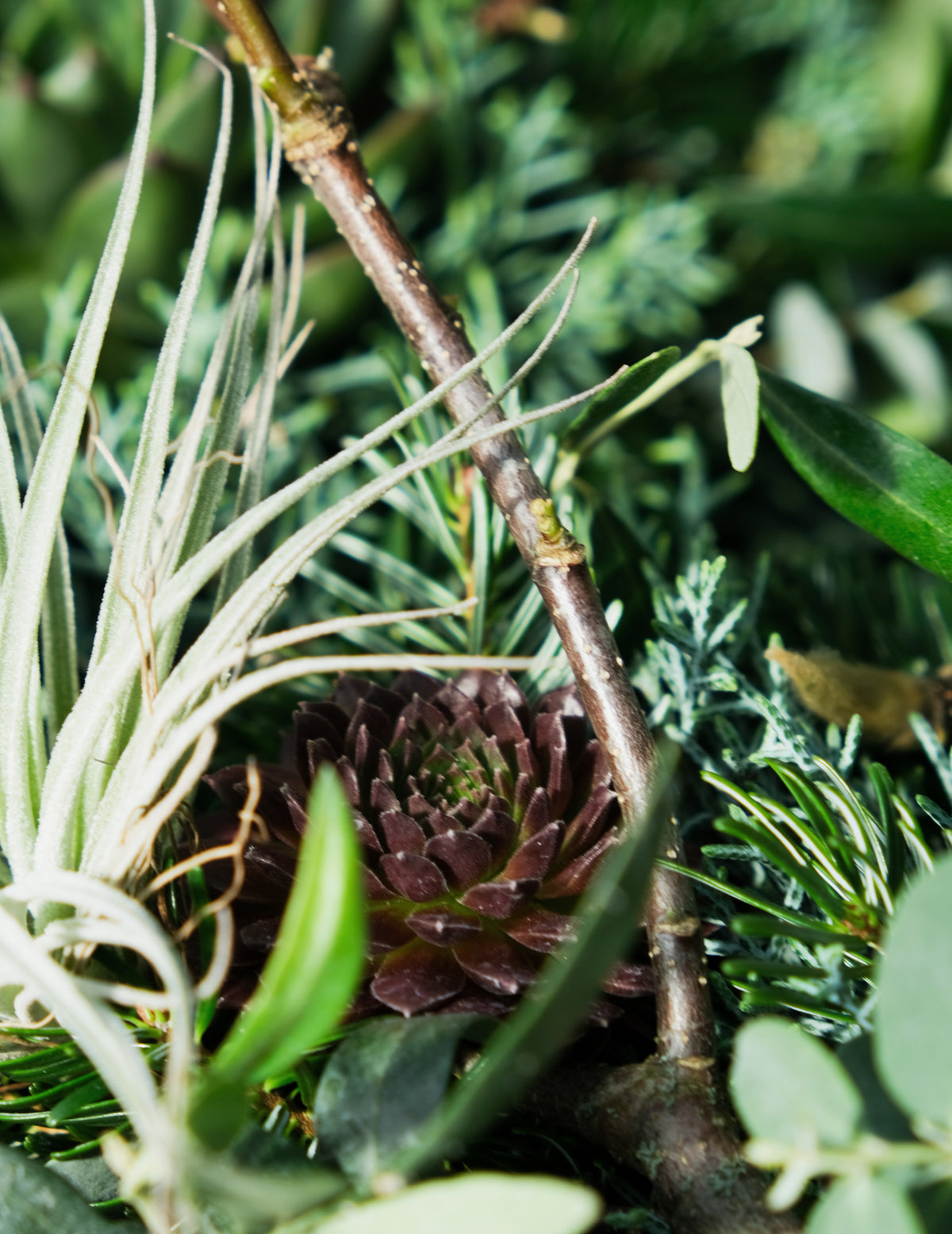 Workshop: Adventskranz