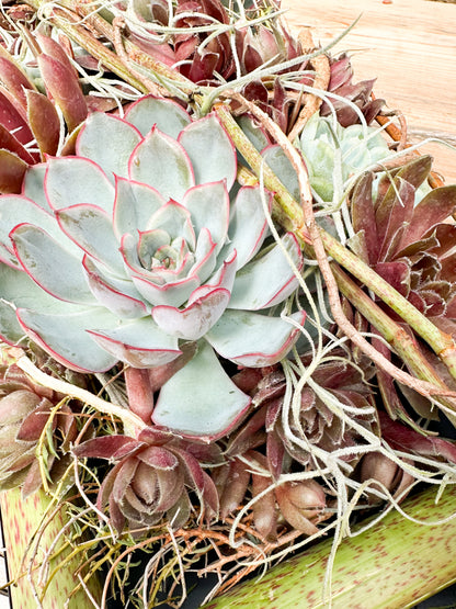 Workshop: Sommerfeeling☀️