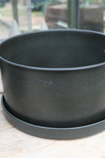 DBKD Schale