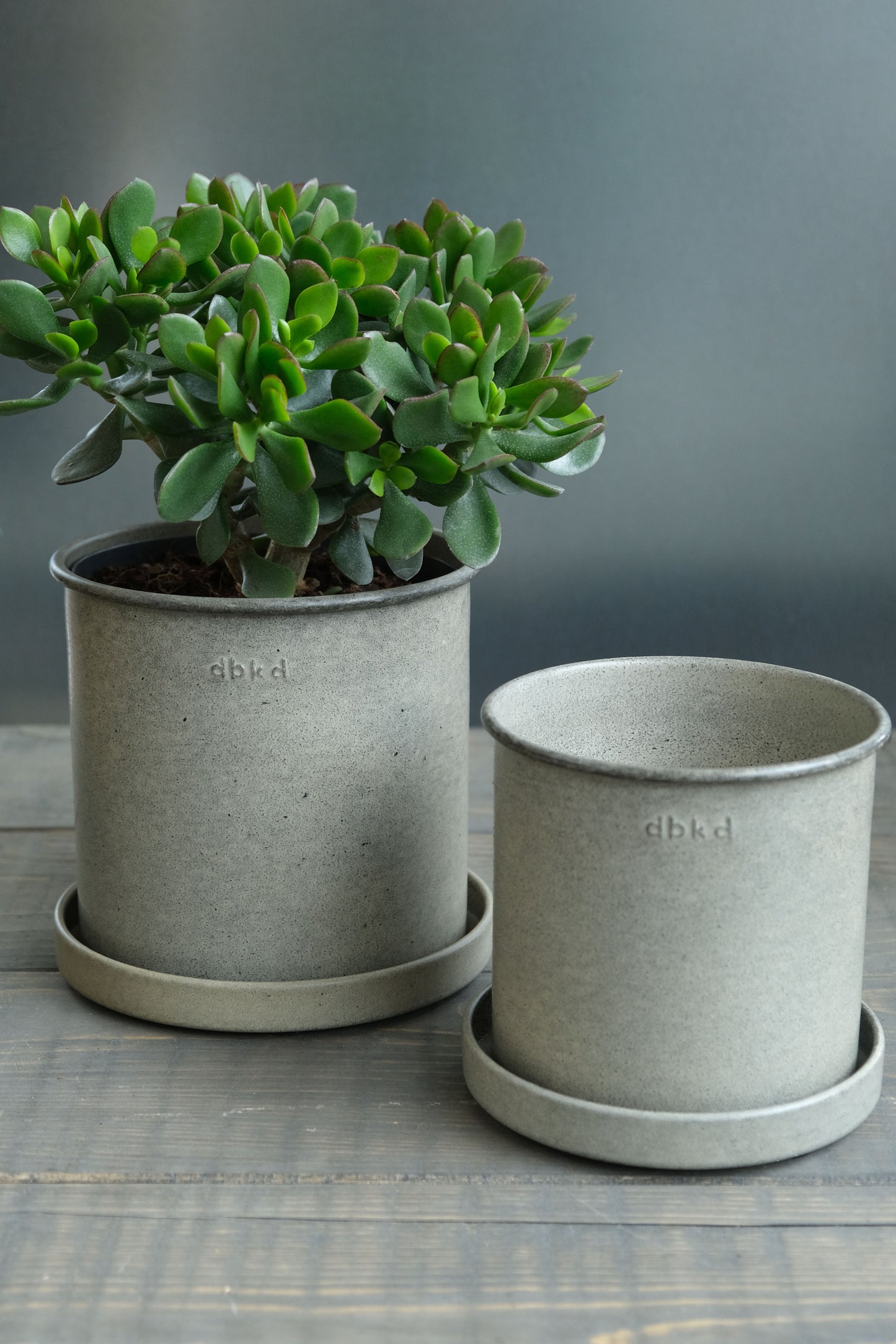 DBKD Plant Pot Small
