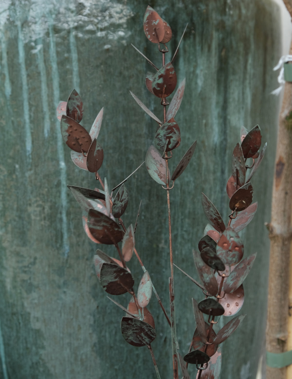 Eukalyptus Metallzweig