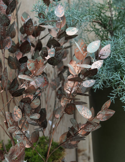 Eukalyptus Metallzweig