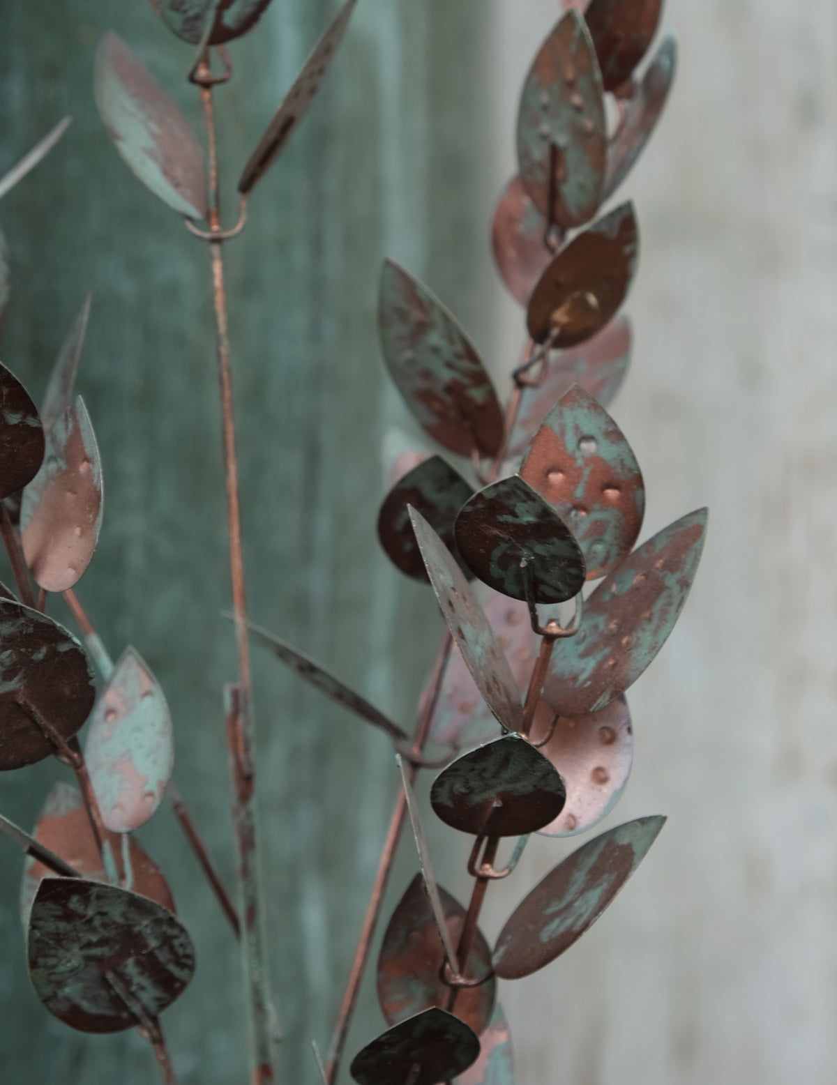 Eukalyptus Metallzweig