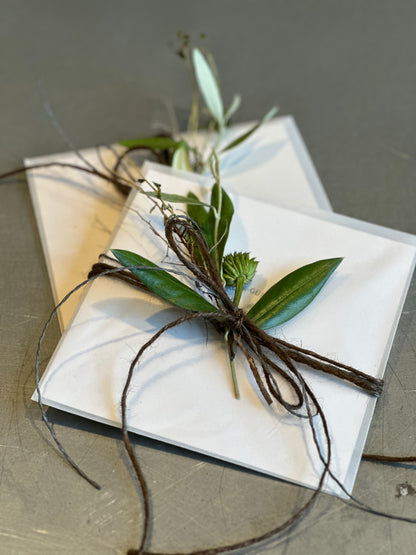 Gärtnerei Schnack Geschenkgutschein