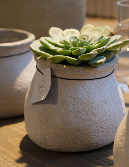 DBKD Papier-Blumentopf