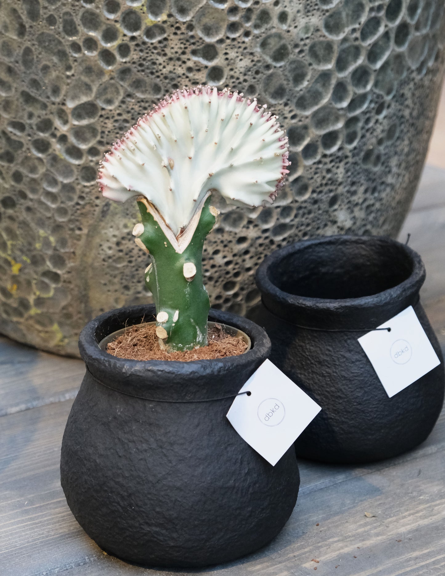 DBKD Papier-Blumentopf