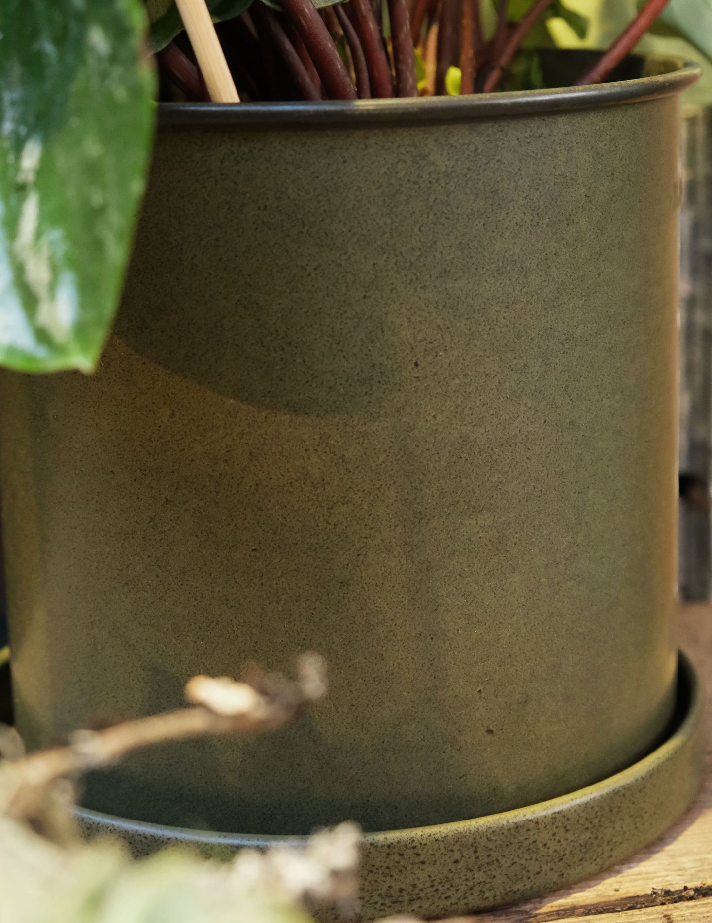 DBKD Plant Pot Small