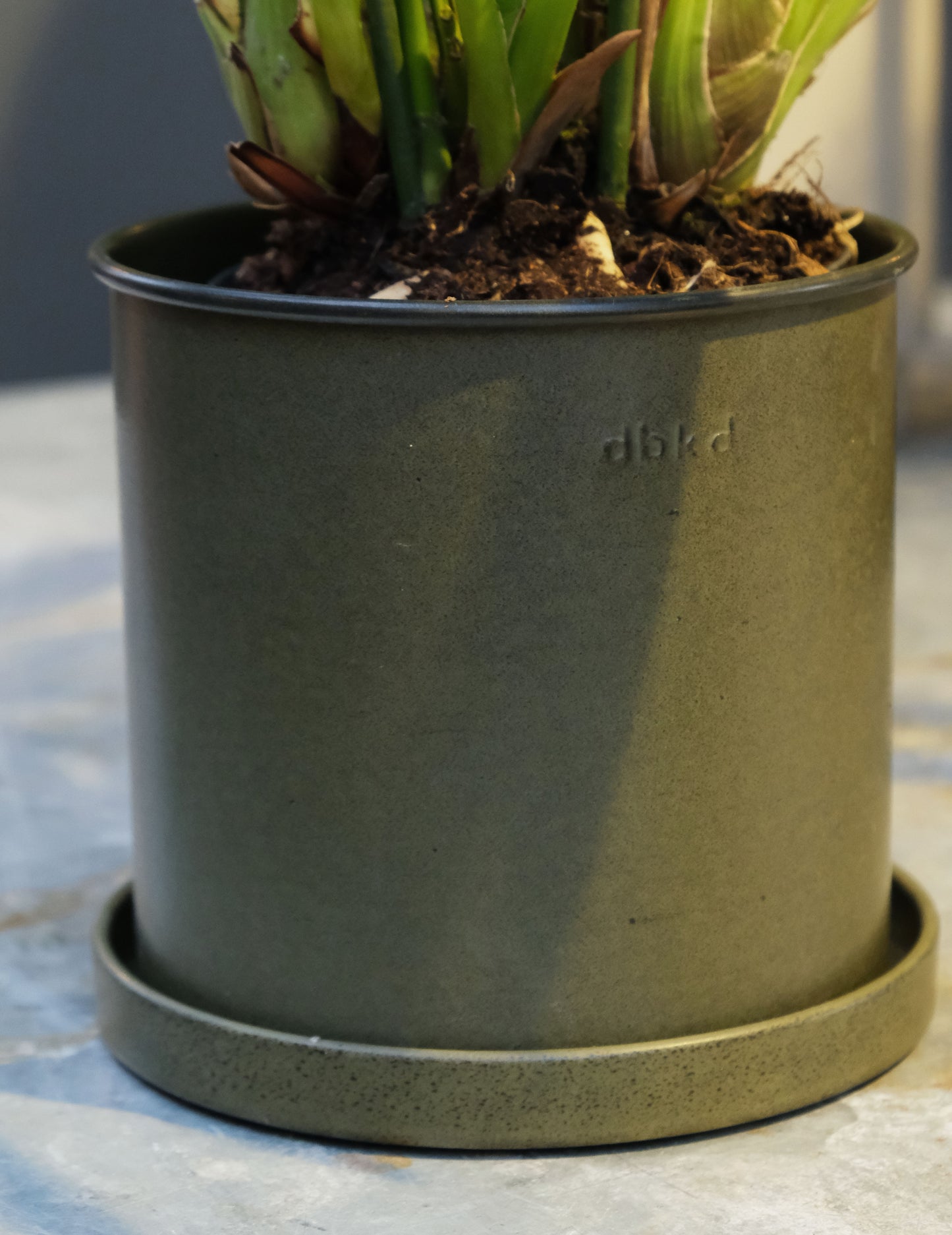 DBKD Plant Pot Small