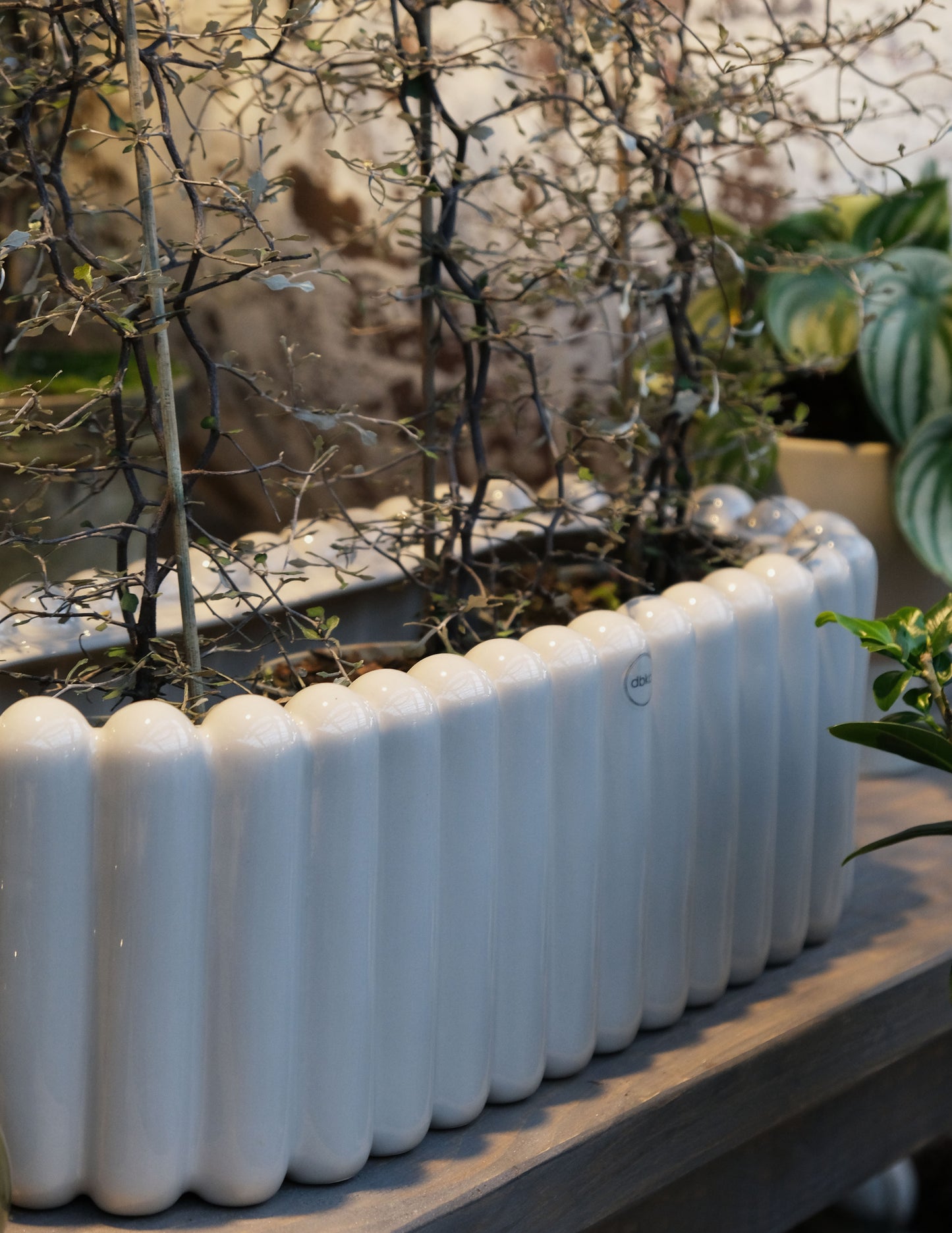 DBKD Blumentopf Oval