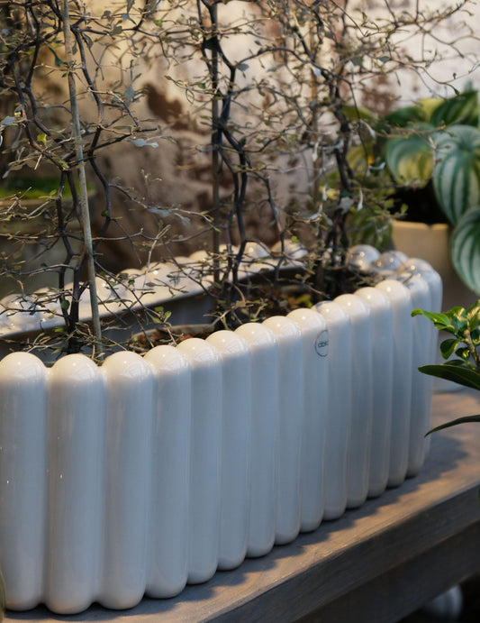 DBKD Blumentopf Oval